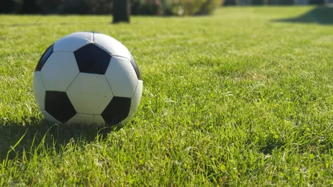 中超：卫冕冠军遇挑战，浙江大胜，云南升班马中超开门红！